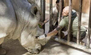 zoo