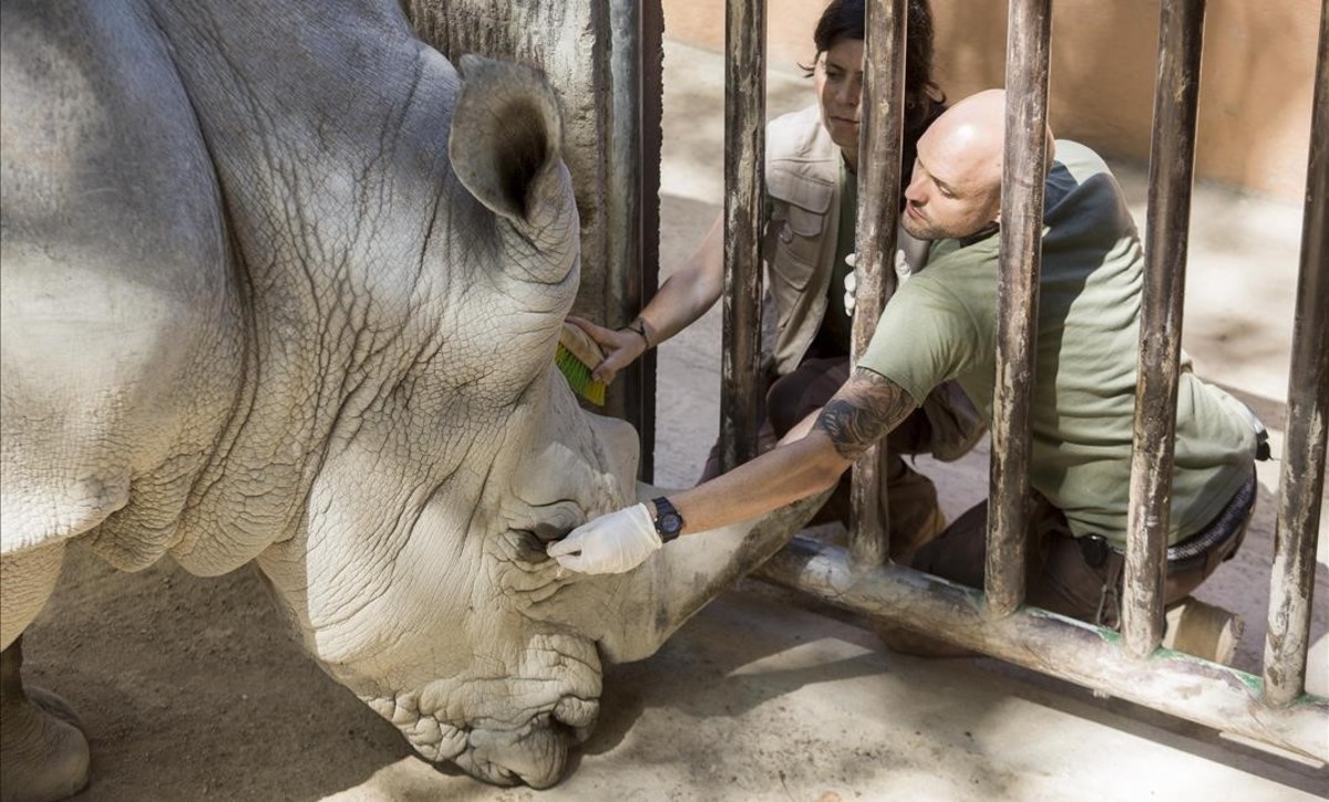 zoo