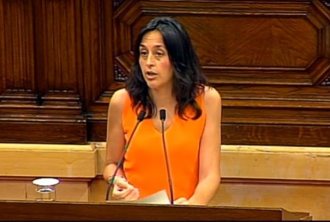 S’aprova una moció socialista que exigeix el desplegament urgent del Decret d’escola inclusiva