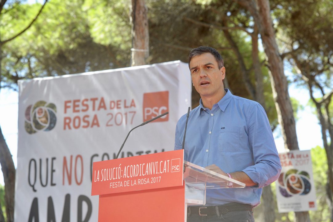 ¡Participa Festa de la Rosa con Pedro Sánchez!