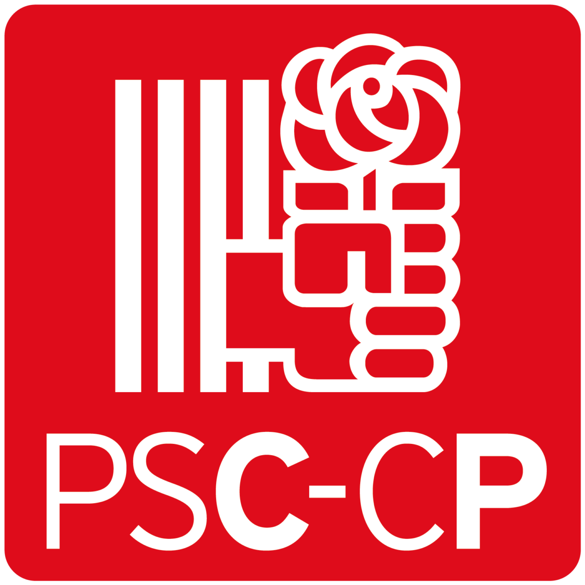 Declaració del PSC amb motiu del devastador temporal “Glòria” a Catalunya