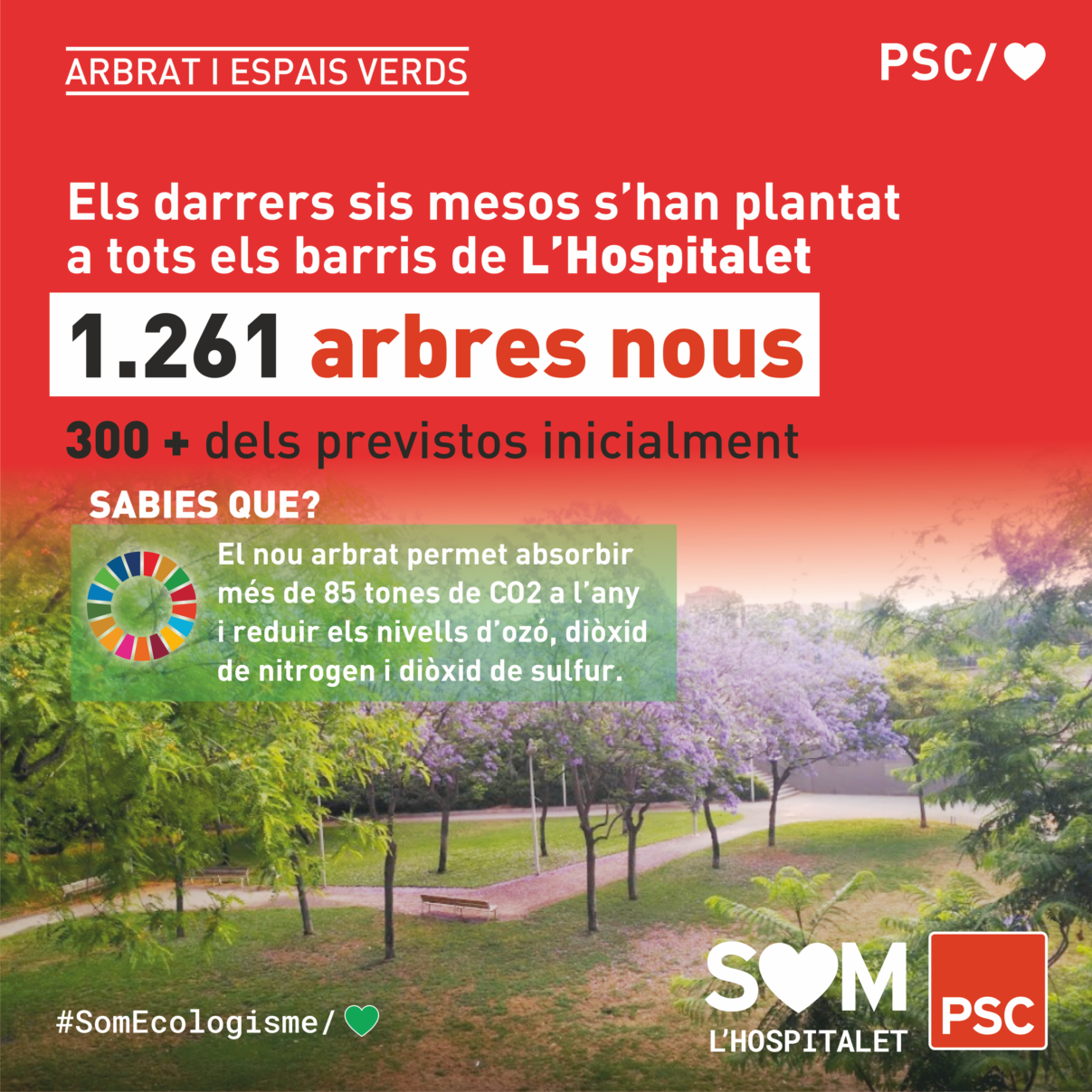 Els darrers 6 mesos s’han plantat 1.261 arbres a L’Hospitalet