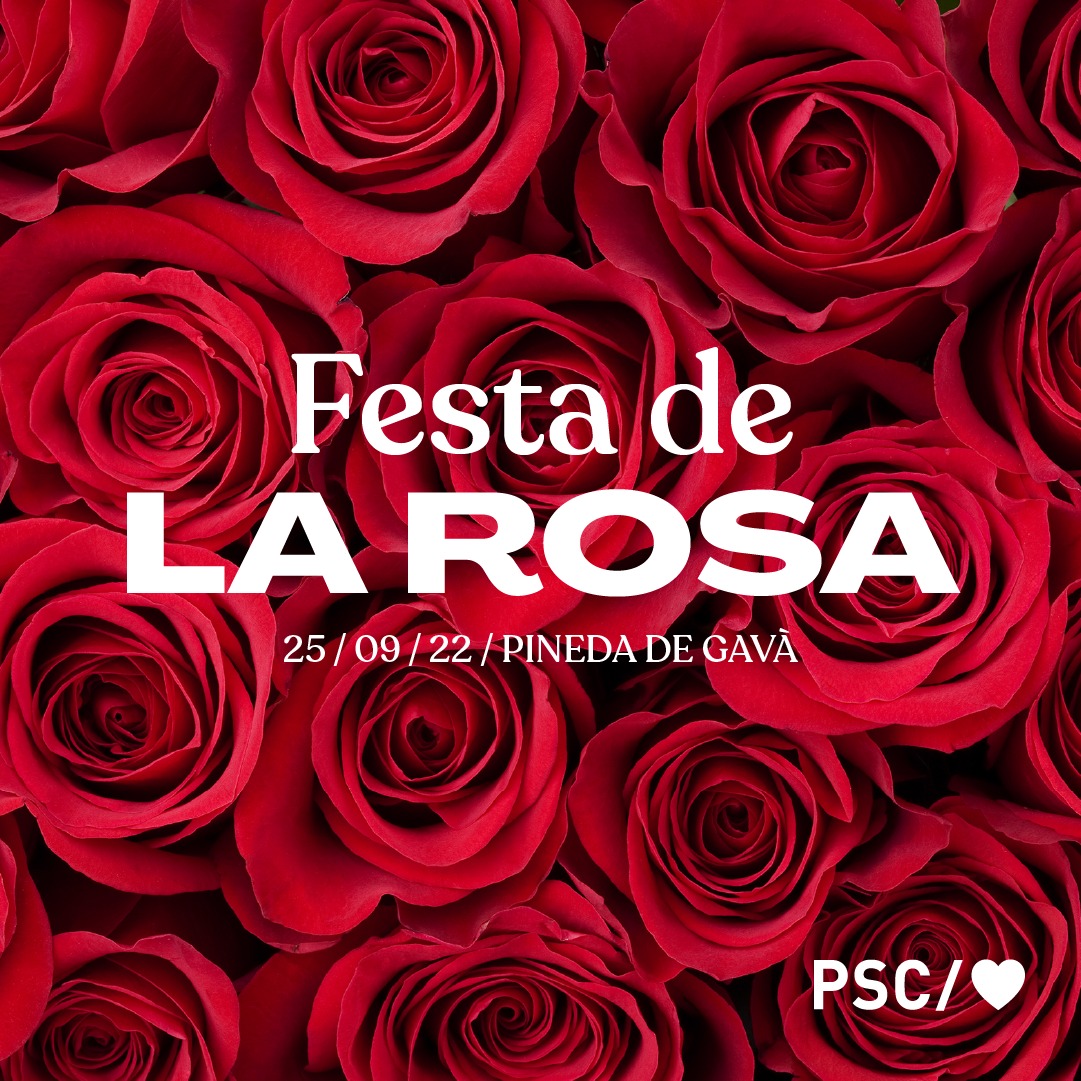 Festa de la Rosa
