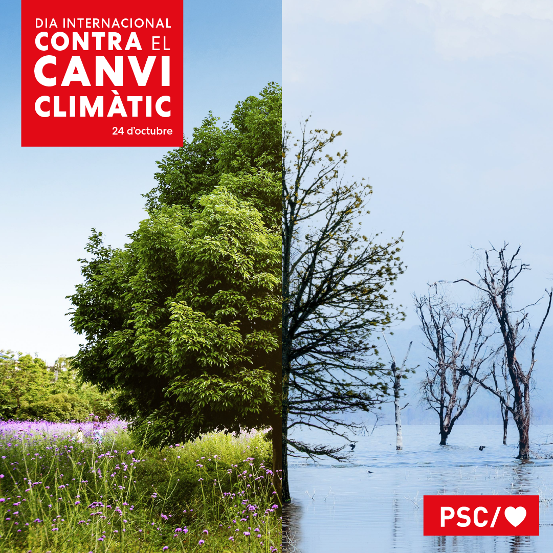 Manifest del "Dia Internacional contra el Canvi Climàtic / 24-O"
