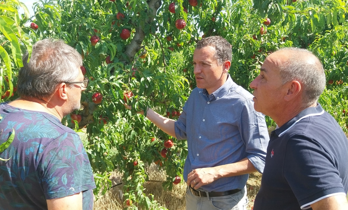 Ordeig: “Hem d’atendre les demandes per la pedregada, però també exigir al Govern que ajudi a protegir i modernitzar les explotacions”