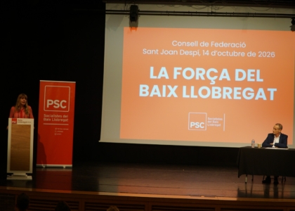 Sonia Guerra, durant el Consell de Federació